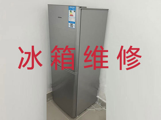 深圳冰箱冰柜维修公司